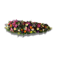 Dessus de cercueil Floraison